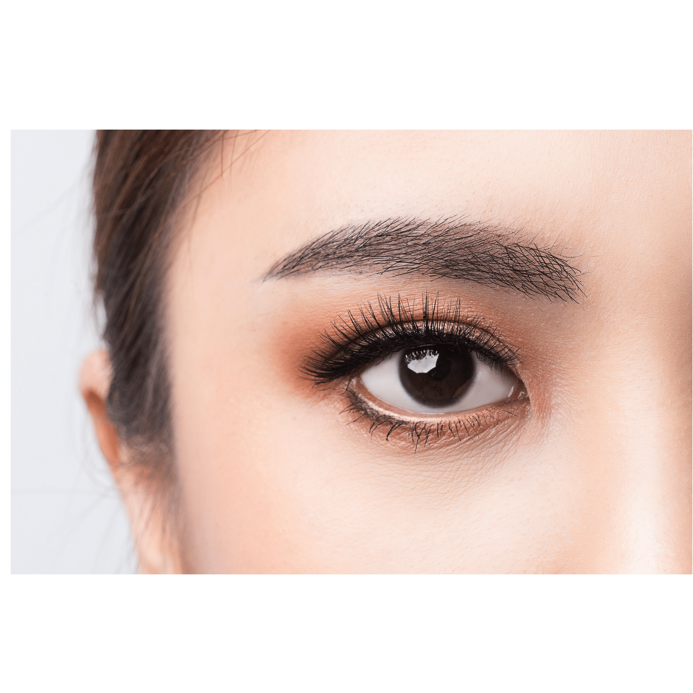 Eye Illustration
